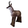Gamsbock